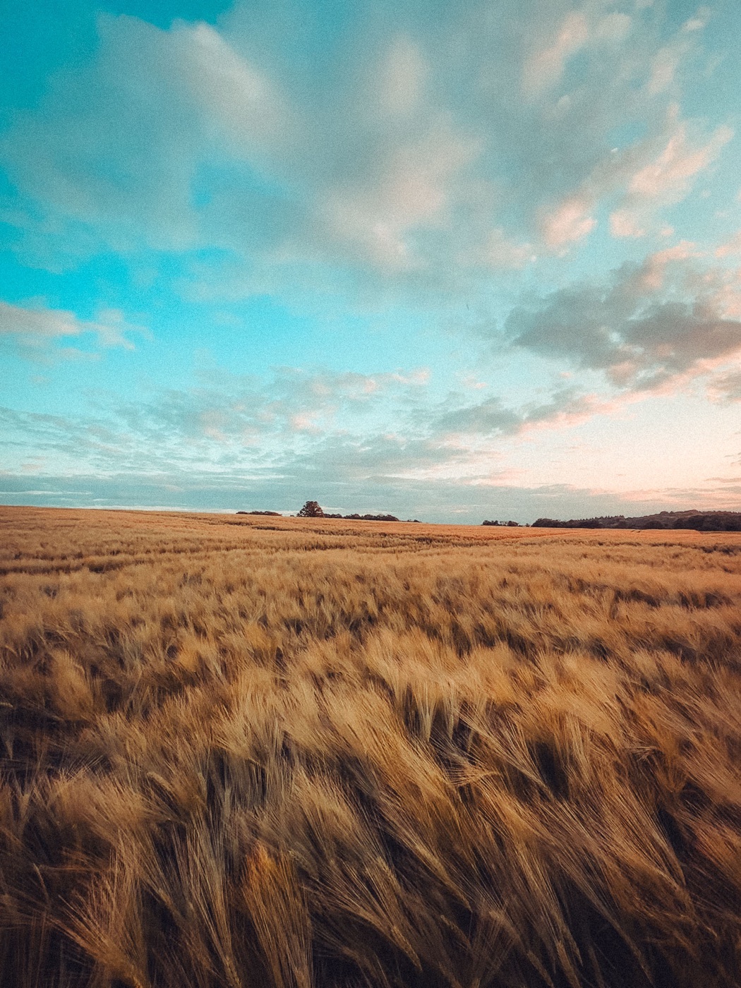 Bewerkte voorbeeldfoto 1 met Lightroom presets voor telefoonfotografie