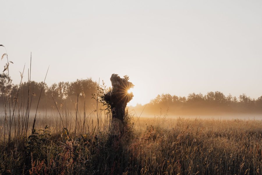 Bewerkte foto met Gewild Lightroom presets